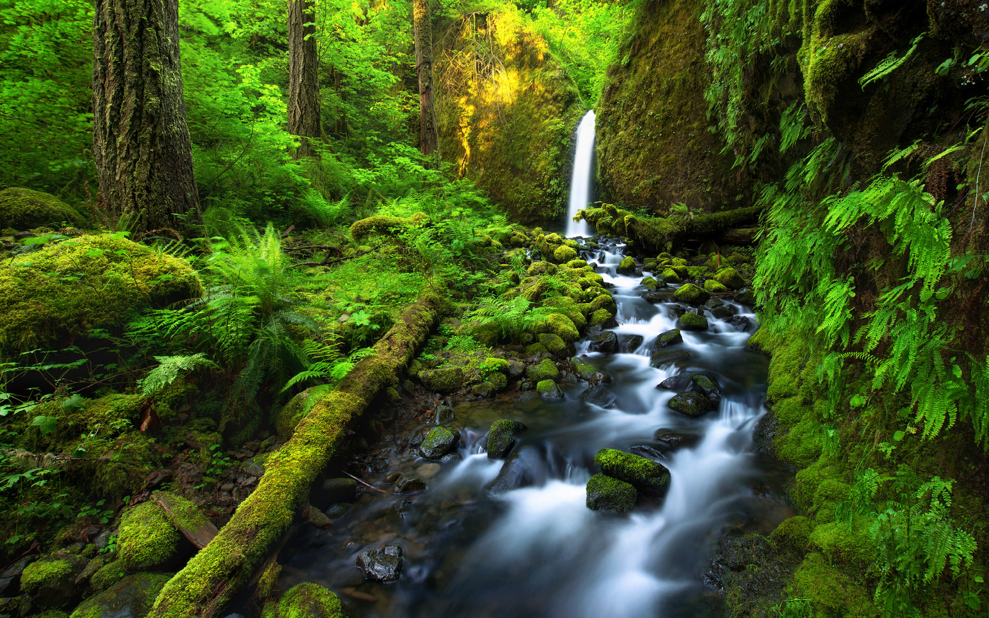 Waterfall HD Wallpaper 4k