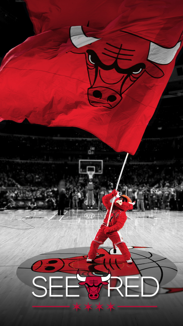 See Red Chicago Bulls Playoffs