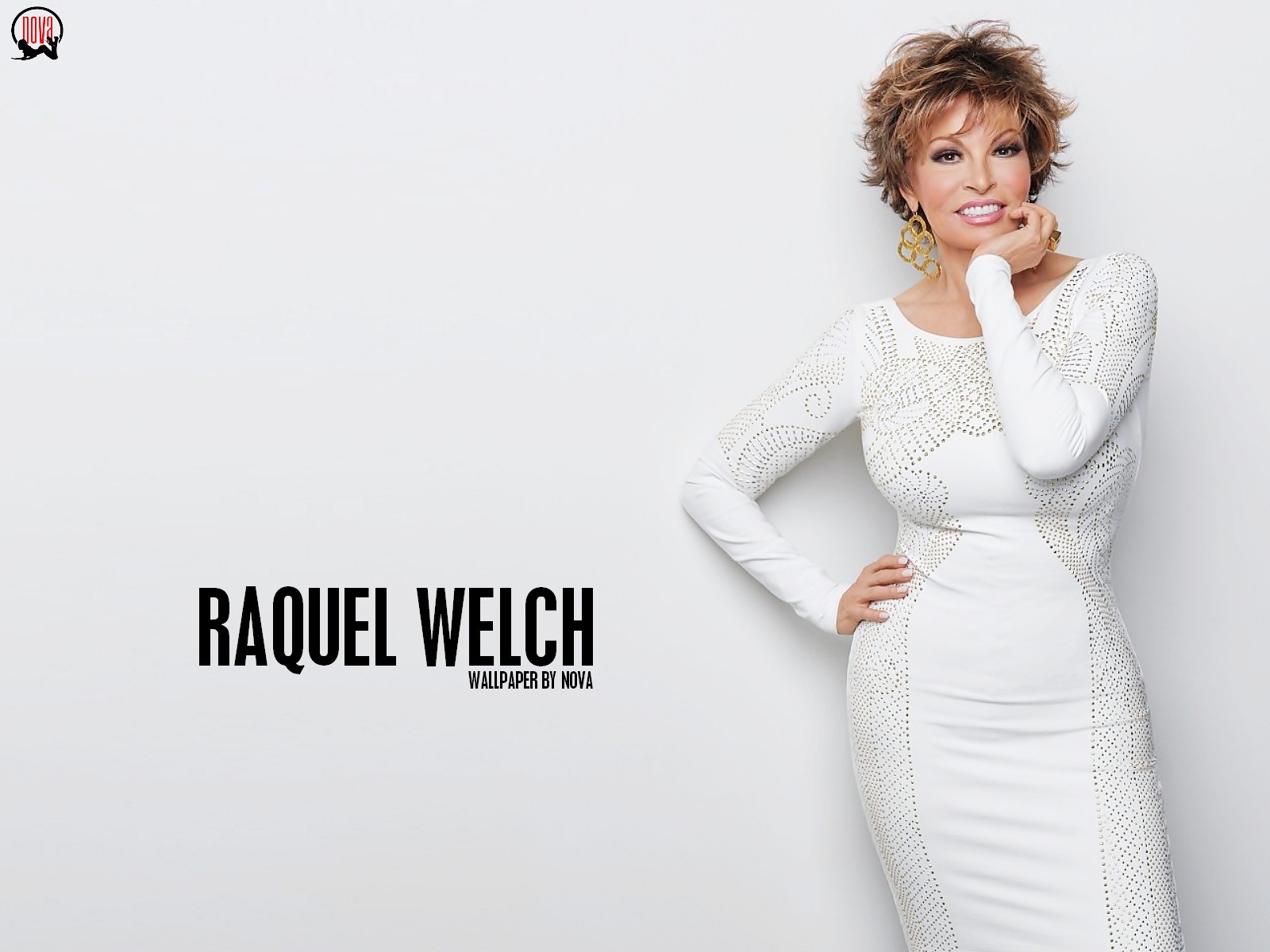 Raquel Welch Image HD Wallpaper And