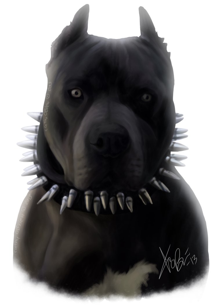 Black Blue Pitbull Portrait By Redeyeddemon