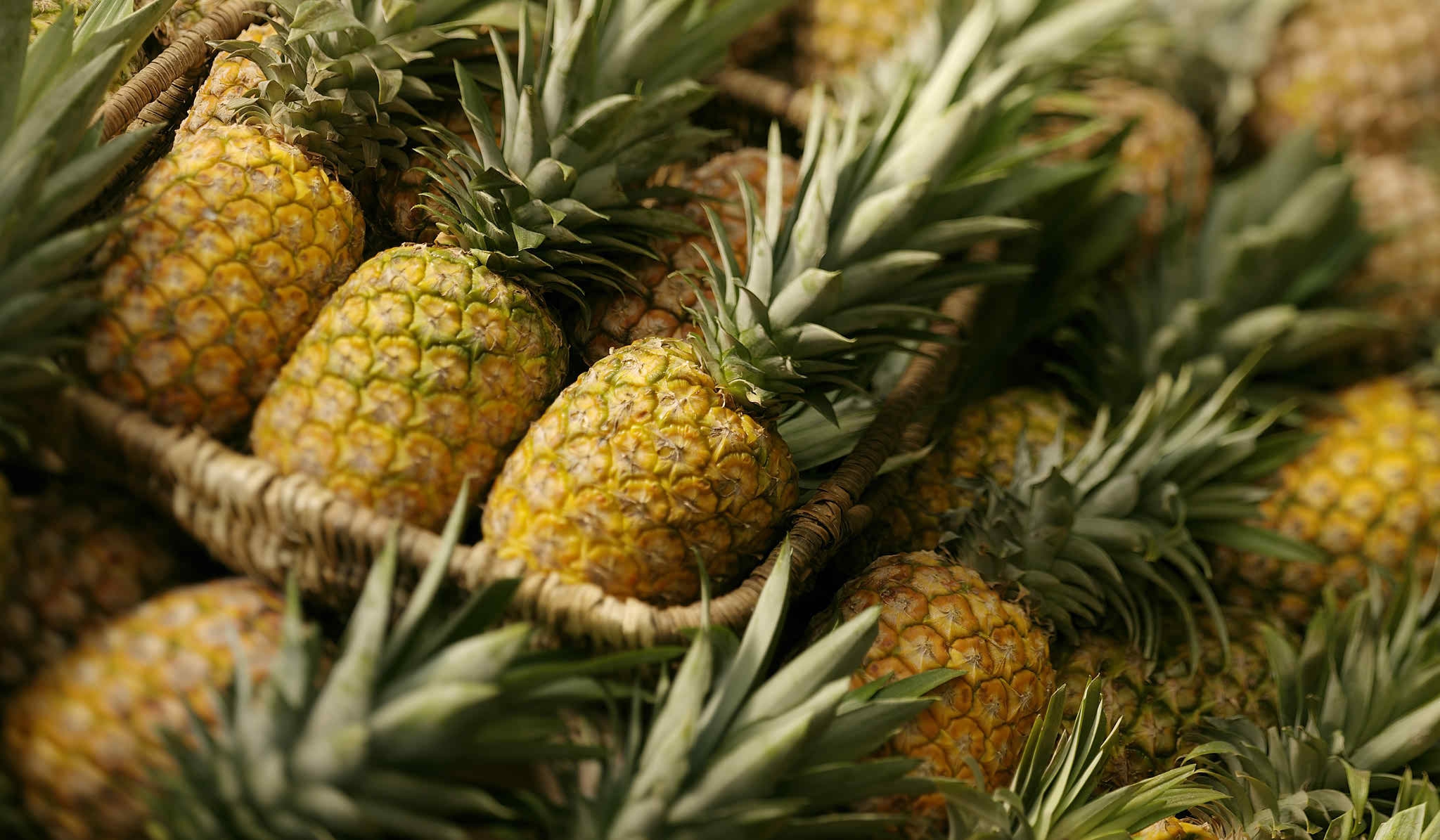 Pineapple Wallpaper Image Photos Picture