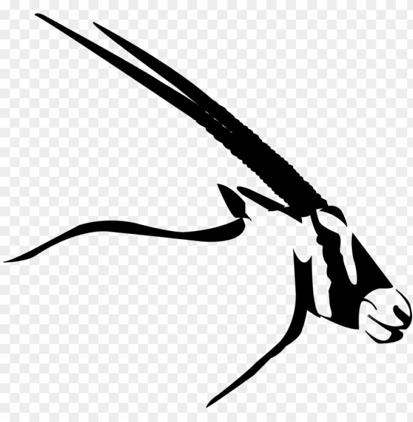 Oryx Clipart African Animal Png Image With Transparent