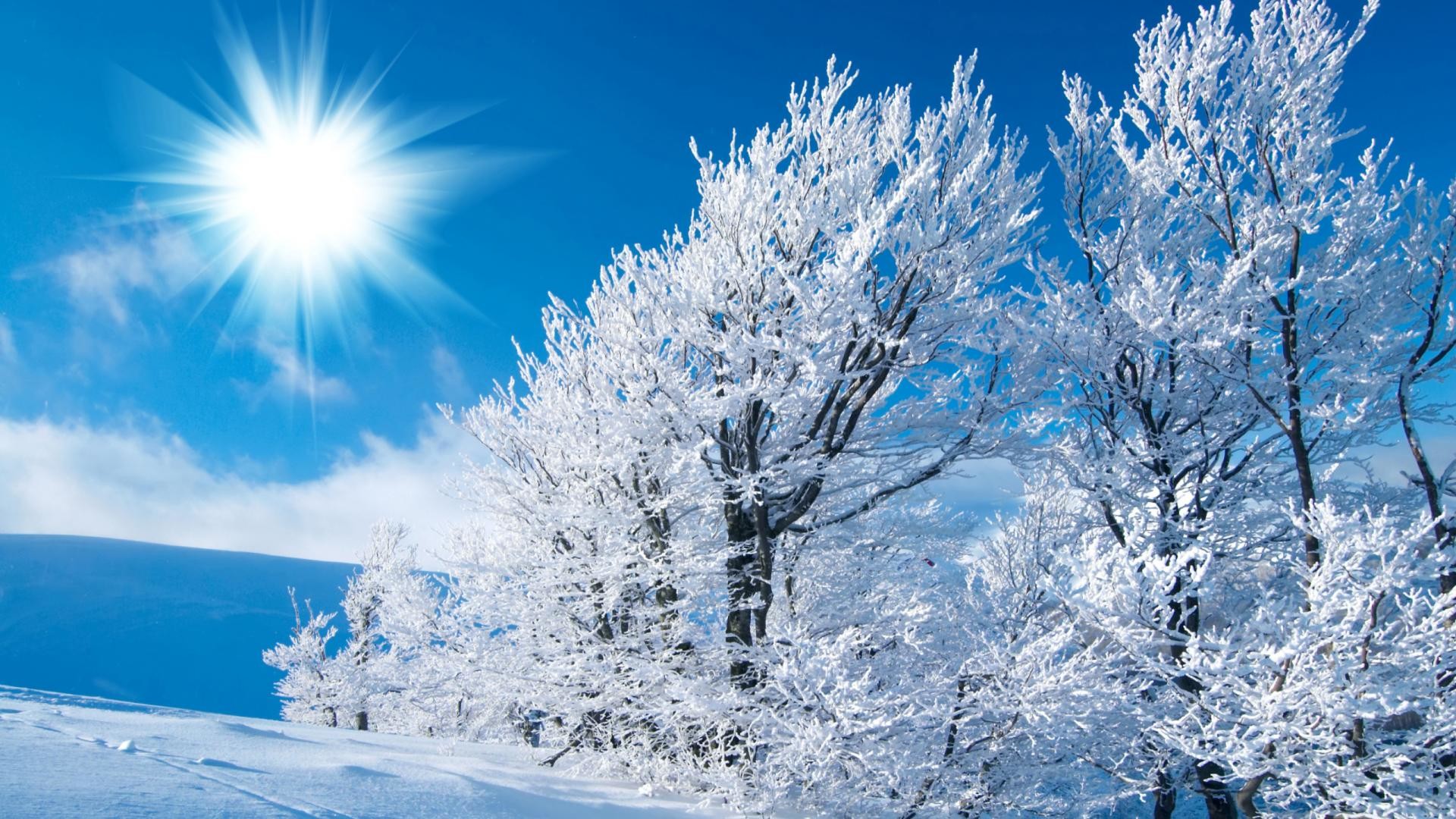 Winter Pictures For Desktop Background Image
