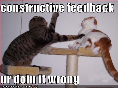 Wallpaper Funny Cats Saying Things HD