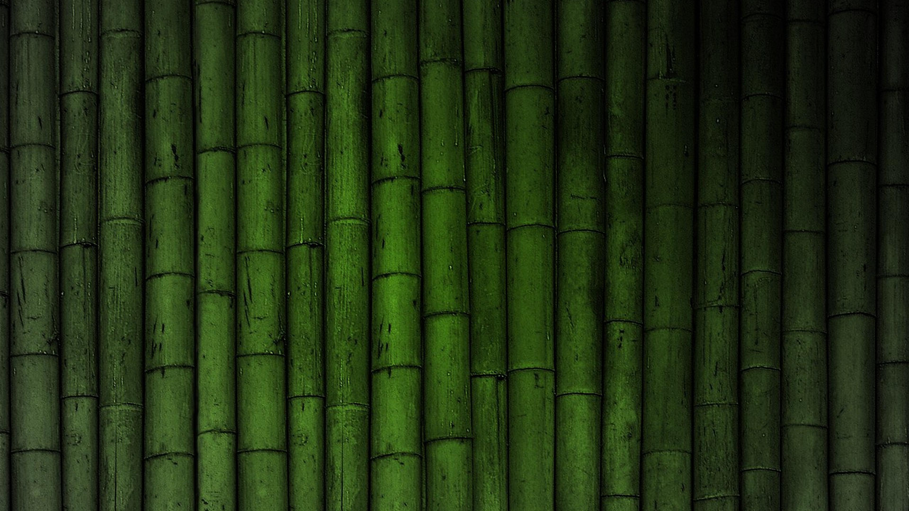 HD Bamboo Background