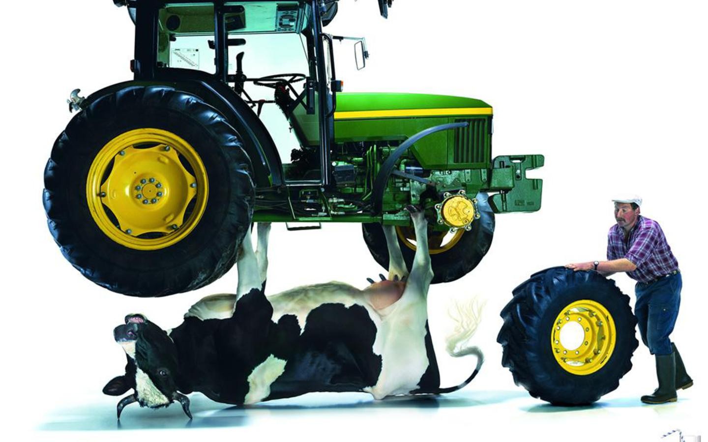 Jack Tractors Wallpaper 1440x900 Jack Tractors Cows John Deere 1440x900
