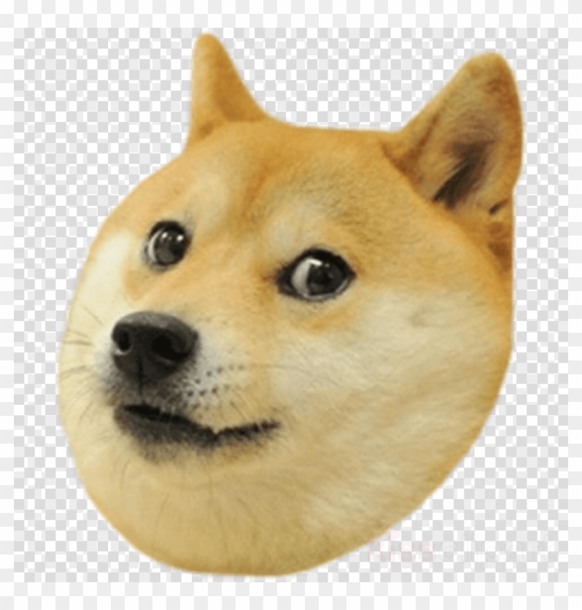Doge Transparent Clipart Shiba Inu Snake Head