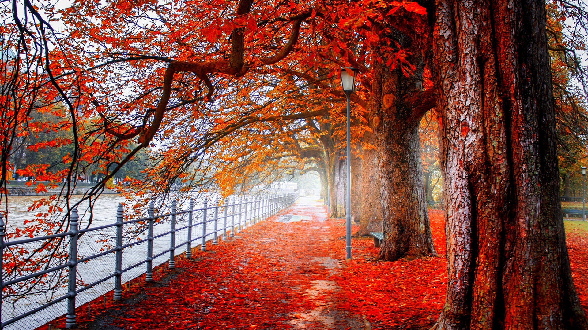 4k Autumn Wallpaper