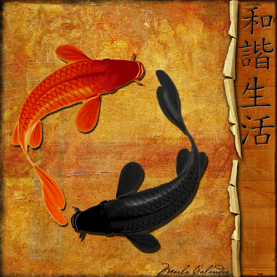 Wallpaper Tumblr Gif Water Stones And Koi Fish 3d Image Num 60