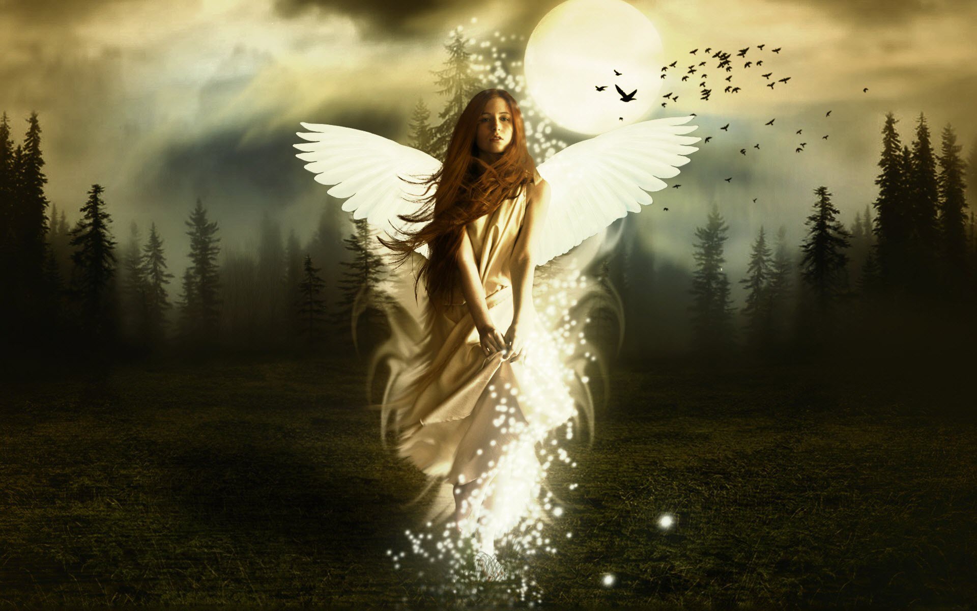 HD Angel Wallpaper
