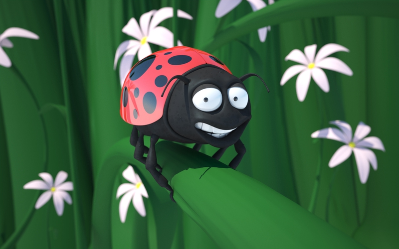 Animated Bug Bugs Life Animals Bugs HD Desktop Wallpaper 800x500