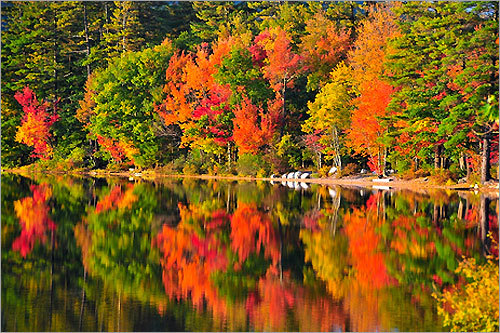 Your fall photos   Bostoncom