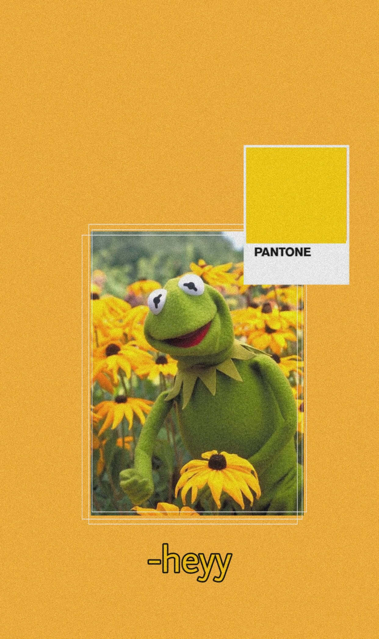 Aesthetic Kermit 4dfodjto7nh3m9a7 Wallpaper