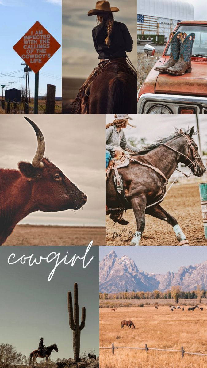Country Western Wallpaper
