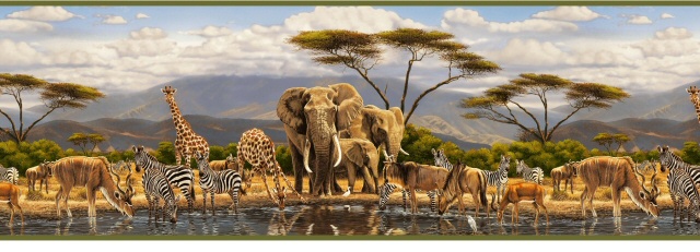 African Safari Wallpaper Border Gathering Place Jungle