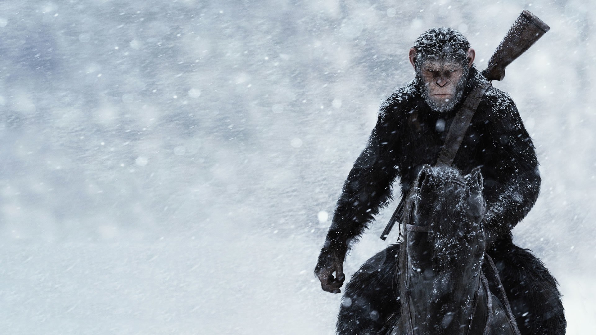 Caesar Pla Of The Apes HD Wallpaper Background Image