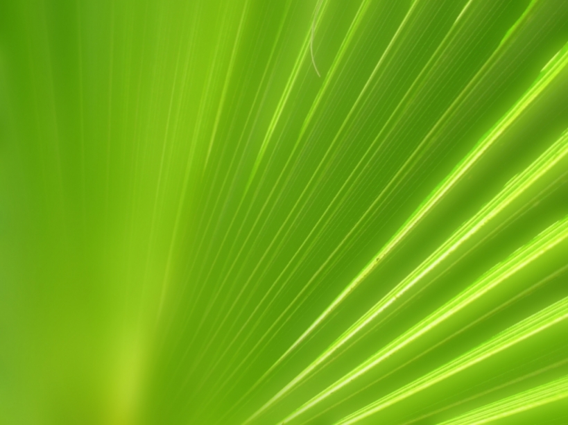 Herbalife Background Image In Collection