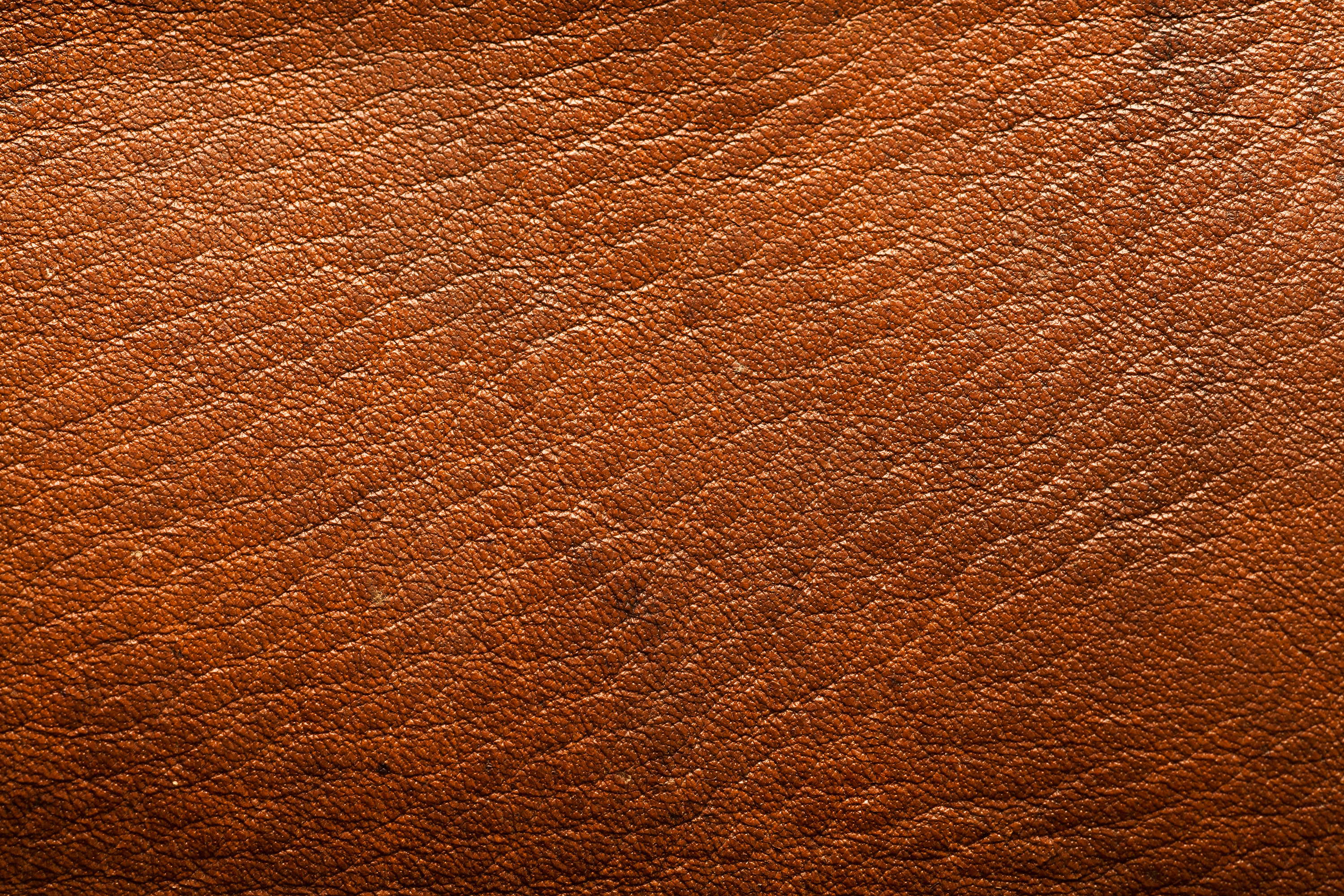 Brown Leather Texture Wild Textures Wallpaper