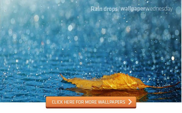 Raindrops Wallpaper For Your Desktop