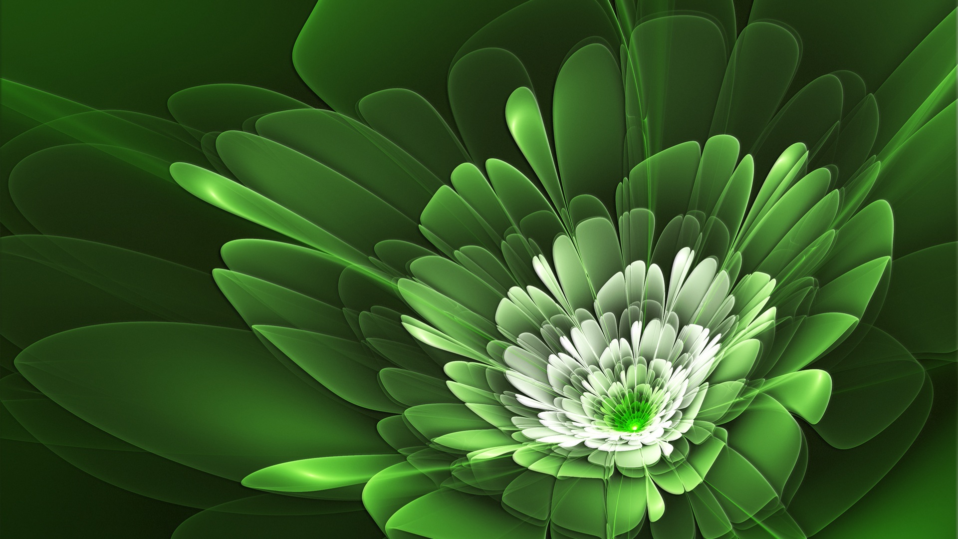 Abstract green flower wallpaper for computer