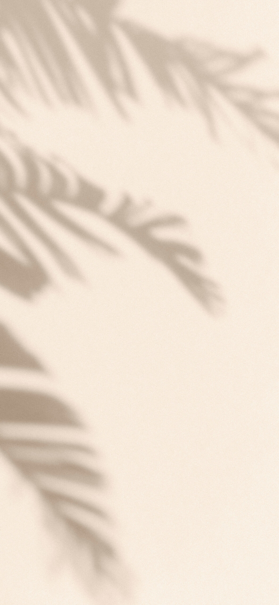 Light Brown Aesthetic Wallpaper