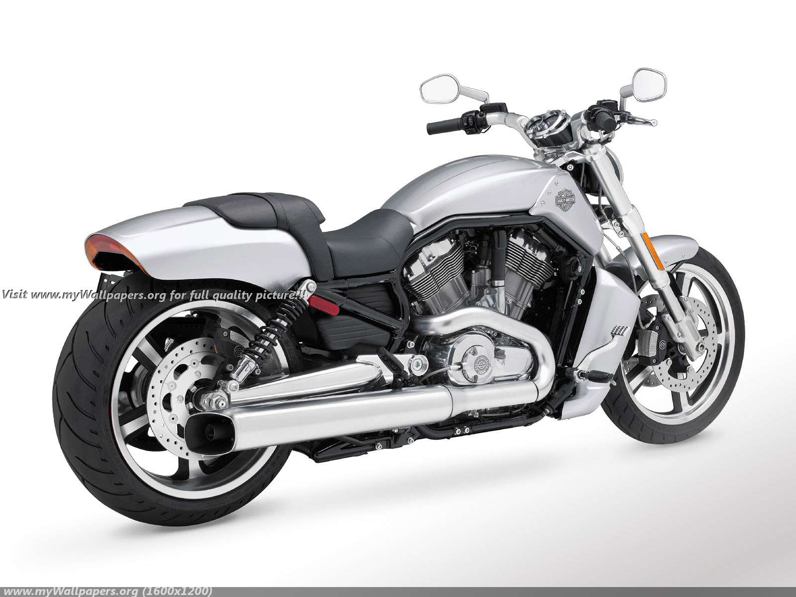 Wallpaper Harley Davidson V Rod Muscle