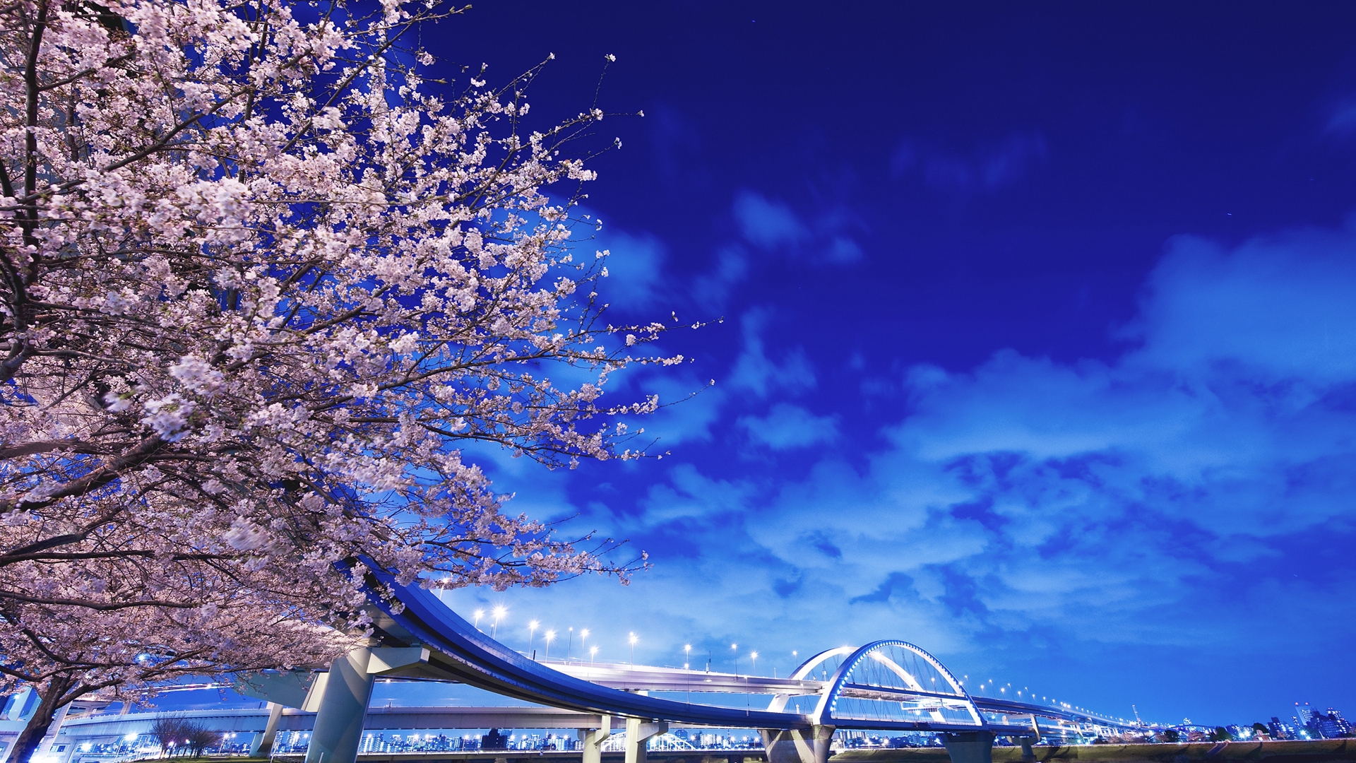  Japan Hokkaido Bridge Sakura Wallpaper Background Full HD 1080p
