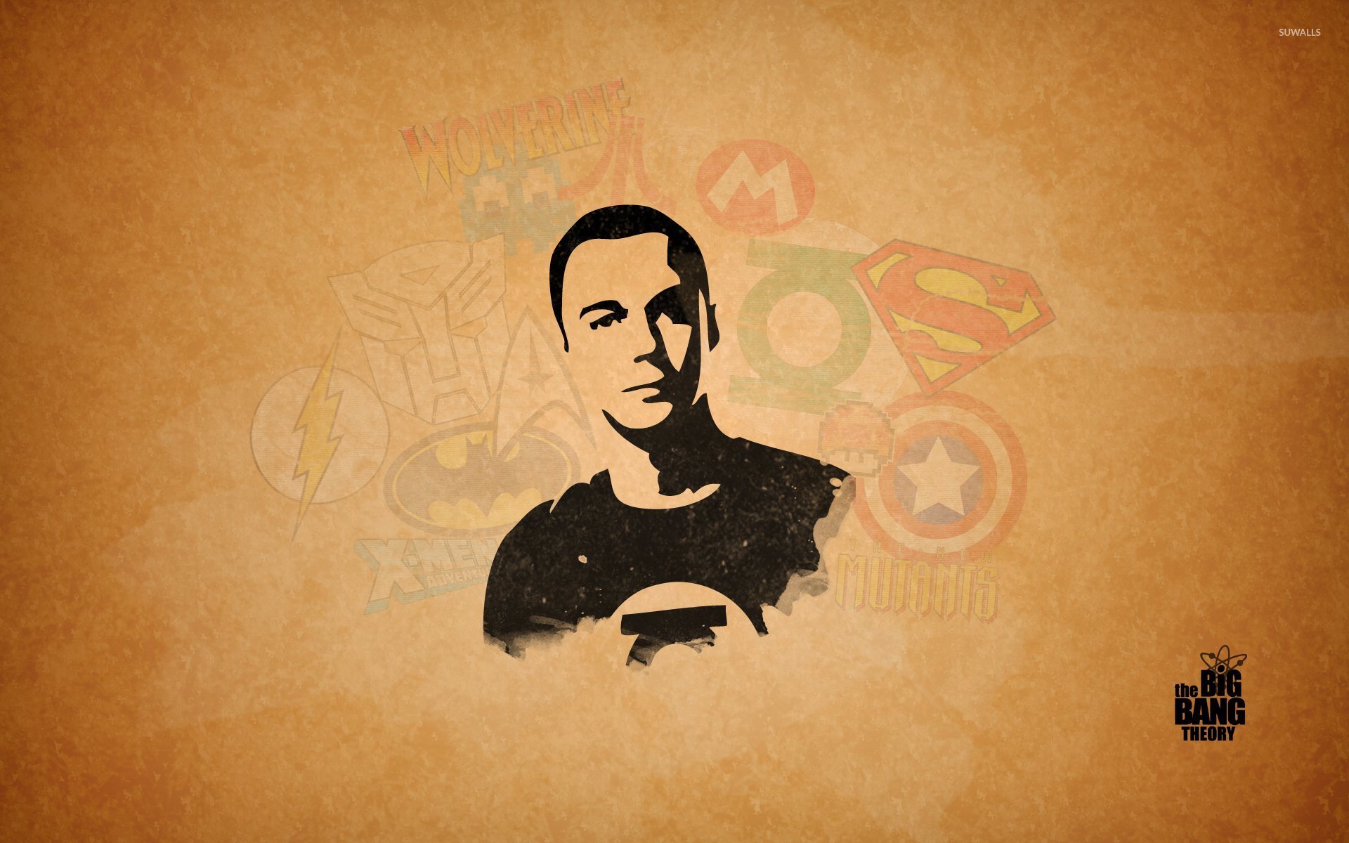 Sheldon Cooper from The Big Bang Theory wallpaper   TV Show