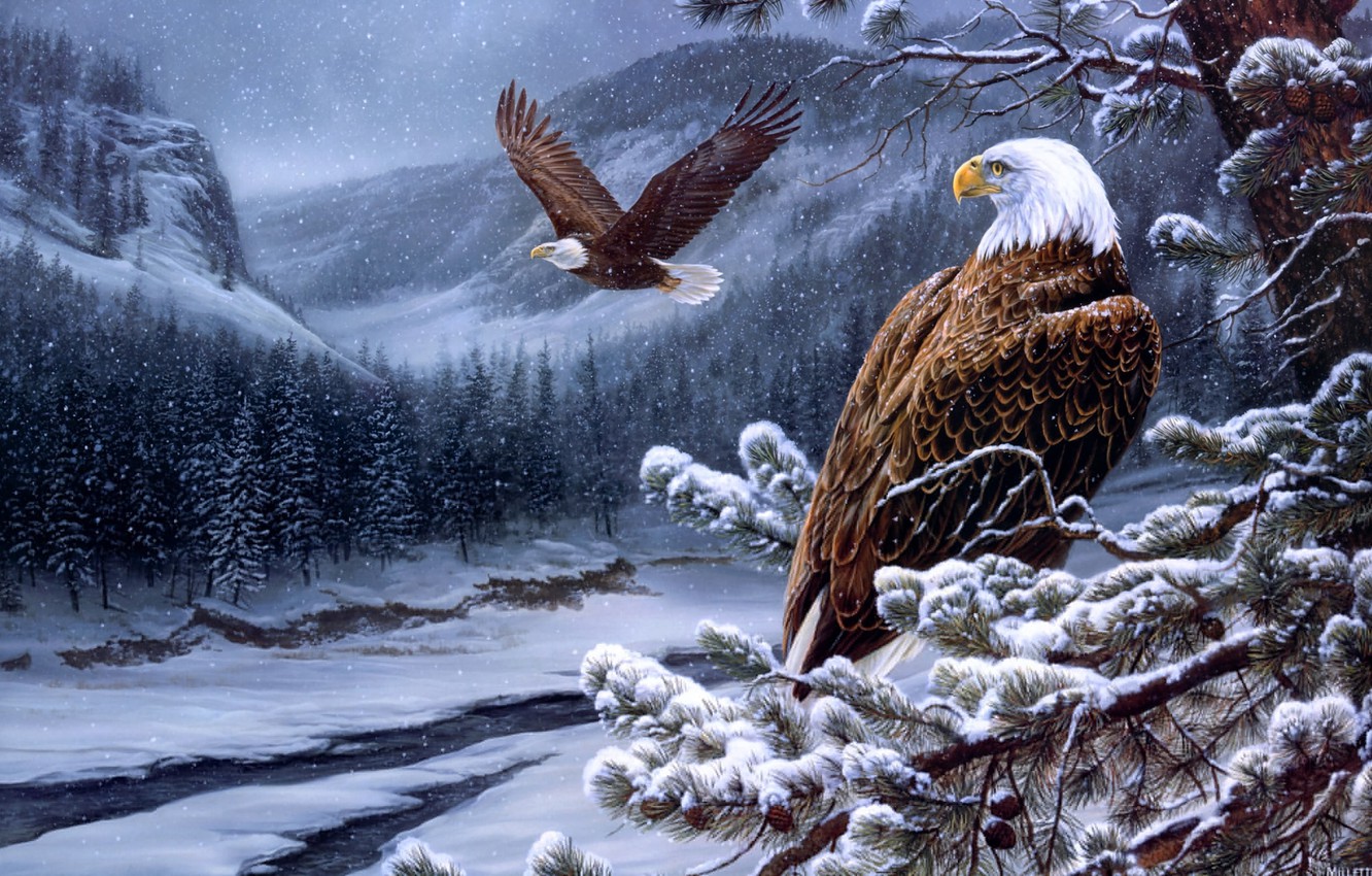 Wallpaper Winter Forest Mountains Eagle Ate Painting