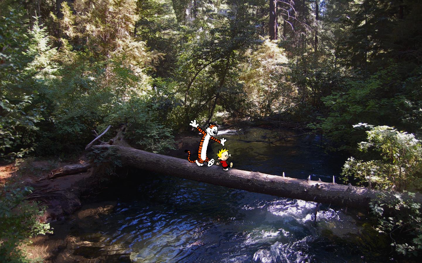Augmented Photography Awesome Calvin Amp Hobbes Desktop