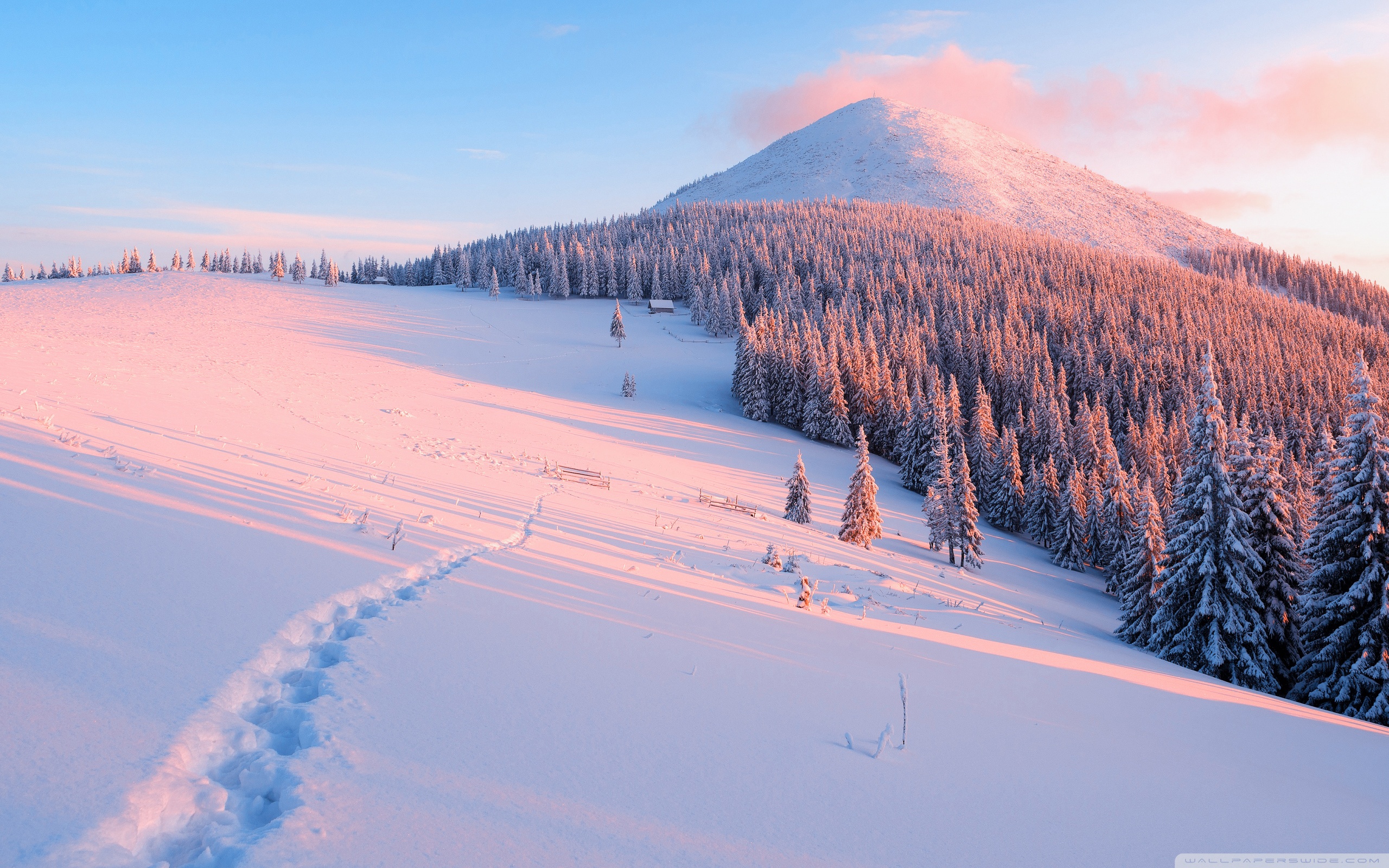 Winter Nature Ultra HD Desktop Background Wallpaper For