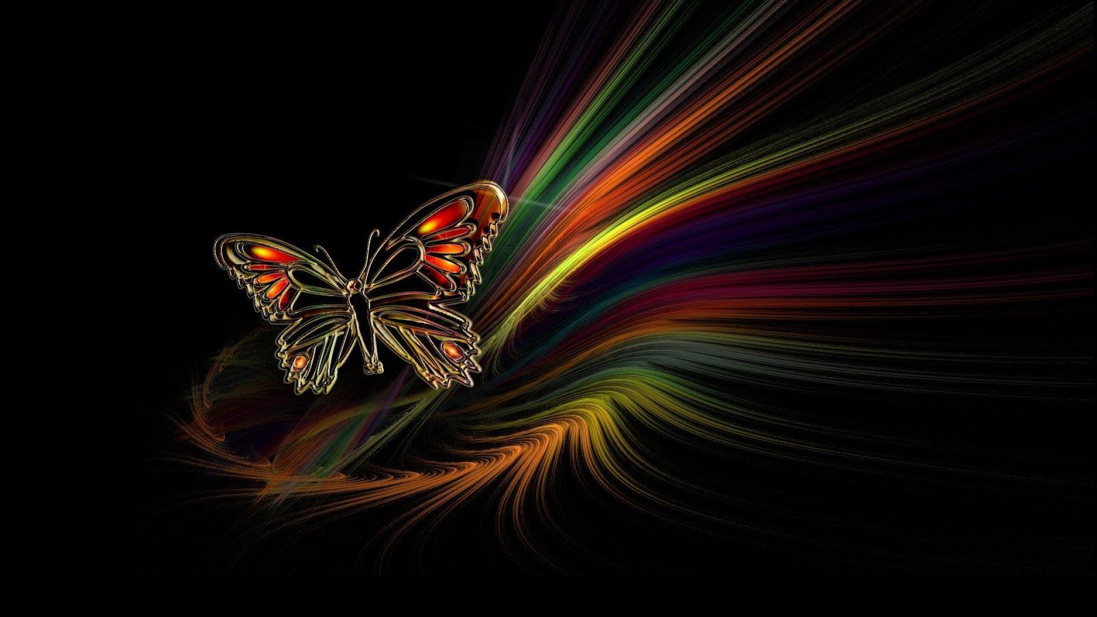 Butterfly Wallpaper And Background Beautiful
