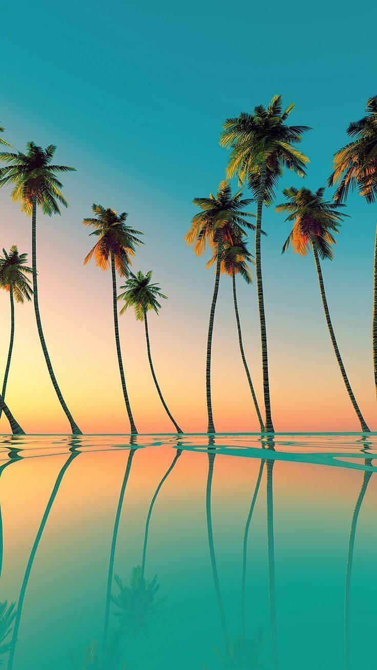 Palm Summer Trees Portrait Wallpaper