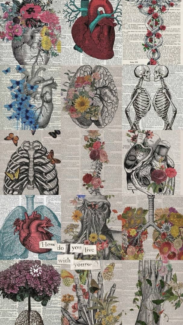 Background Body And Biology Image On Favim