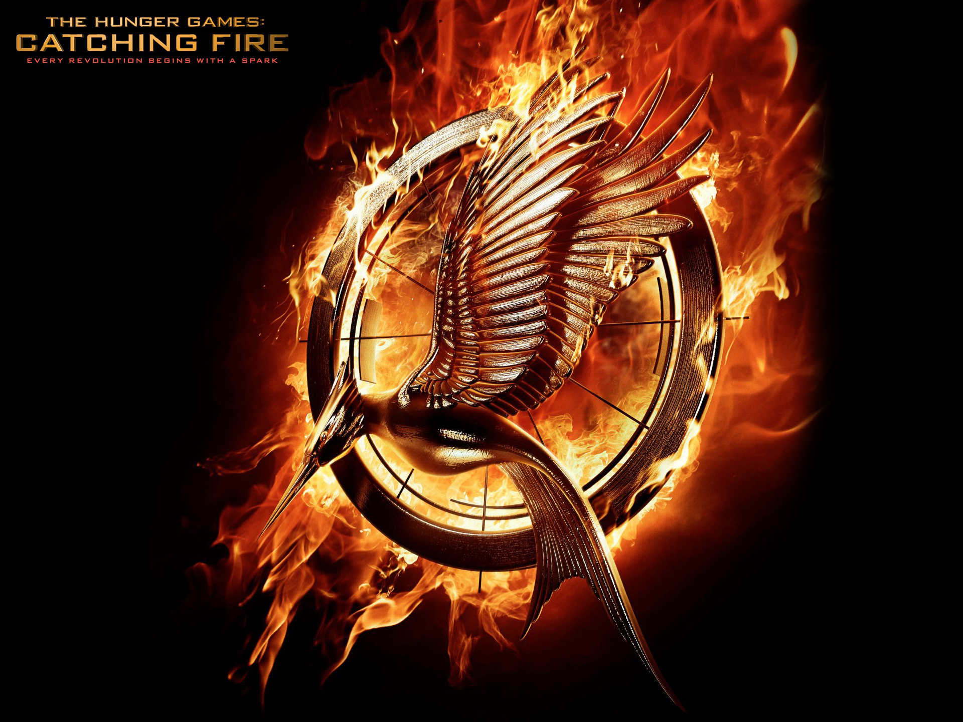 Hunger Games Catching Fire Computer Wallpapers Desktop Backgrounds