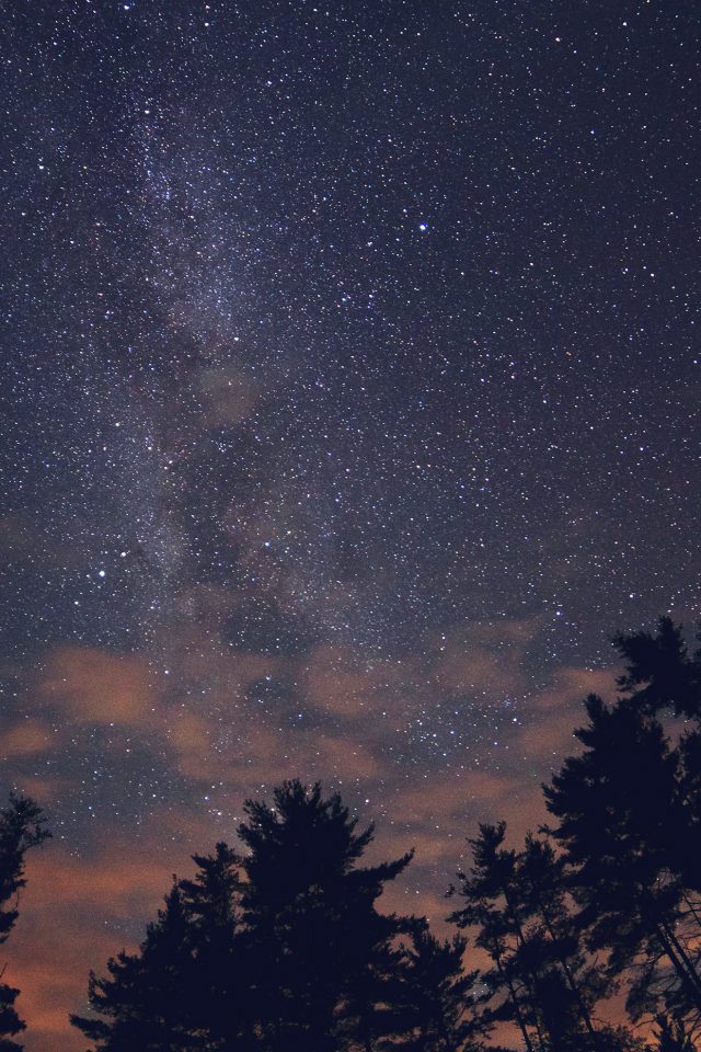 Night Sky Stars Milkyway Wood Nature Blue iPhone Wallpaper