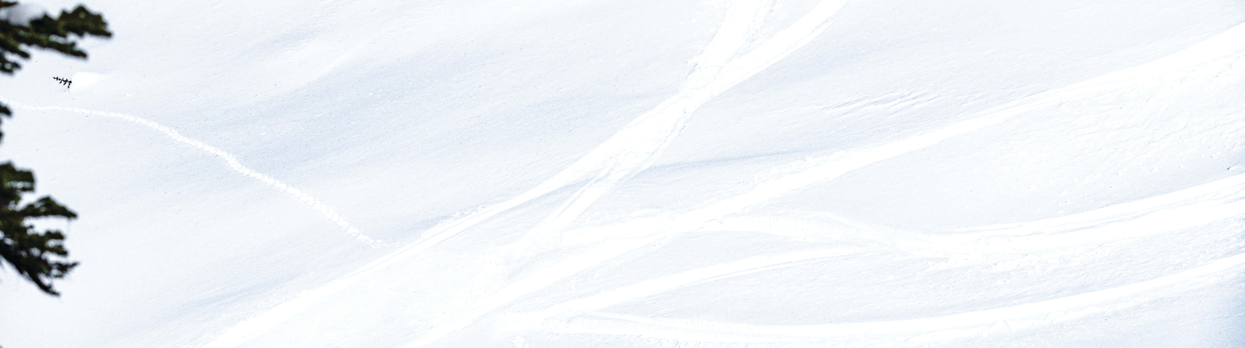 Bright White Background Wallpaper