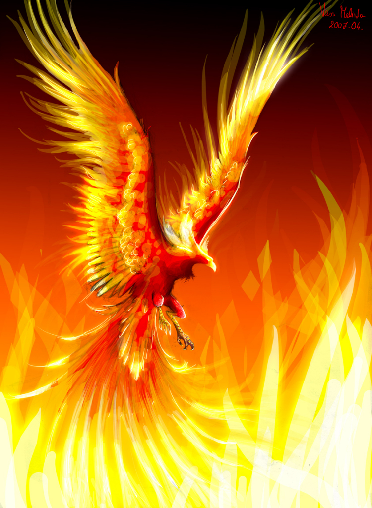 Phoenix Fire Bird Art Exhibition Gallery   Fnix Madr Galria