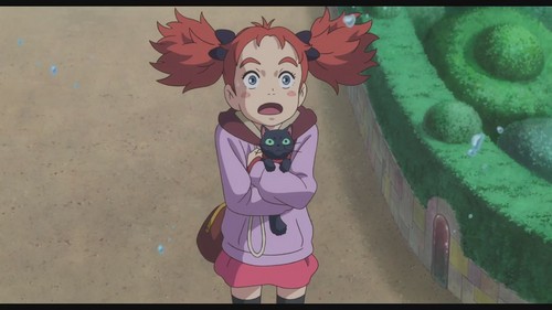 Mary And The Witch S Flower Image