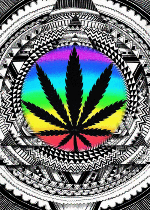 Marijuana Leaf Live Wallpaper: Patterned Screen Design - free download