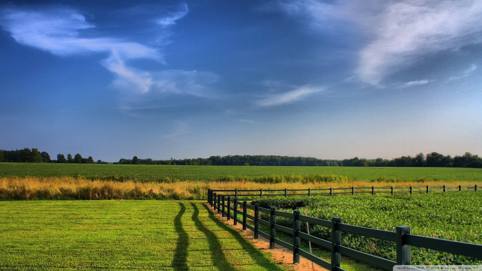 Farm Desktop Wallpaper