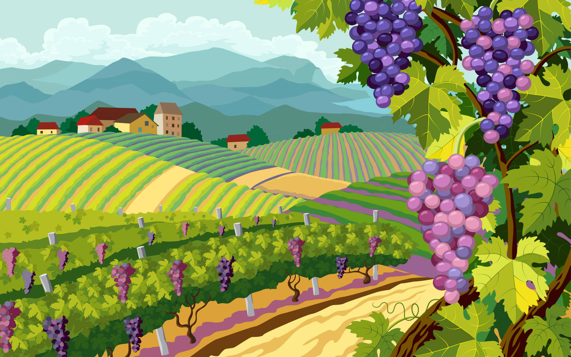 Grape Wallpaper
