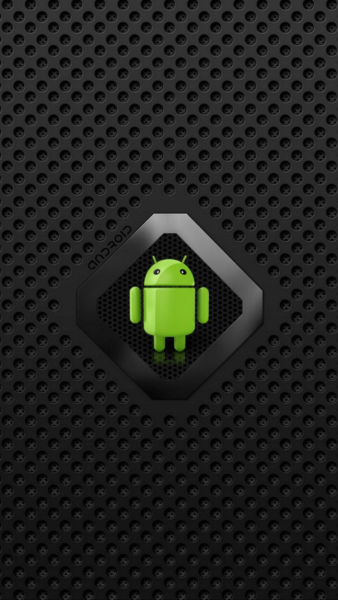 Android Developer Wallpaper