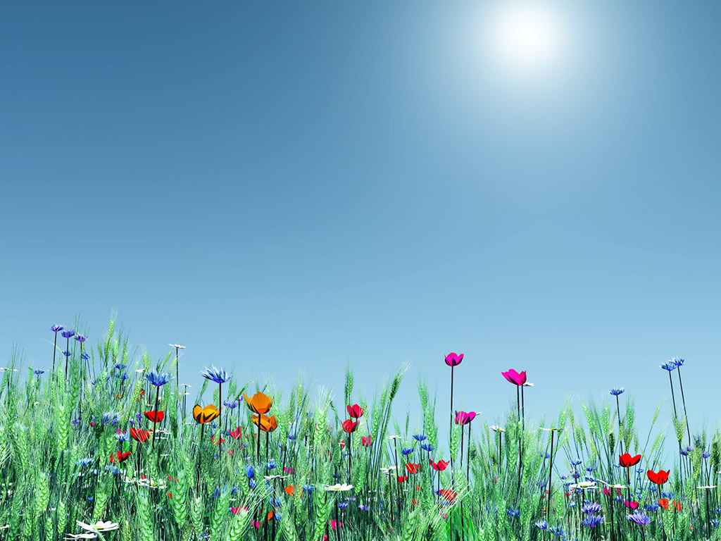 spring desktop wallpaper Christine ODonnell