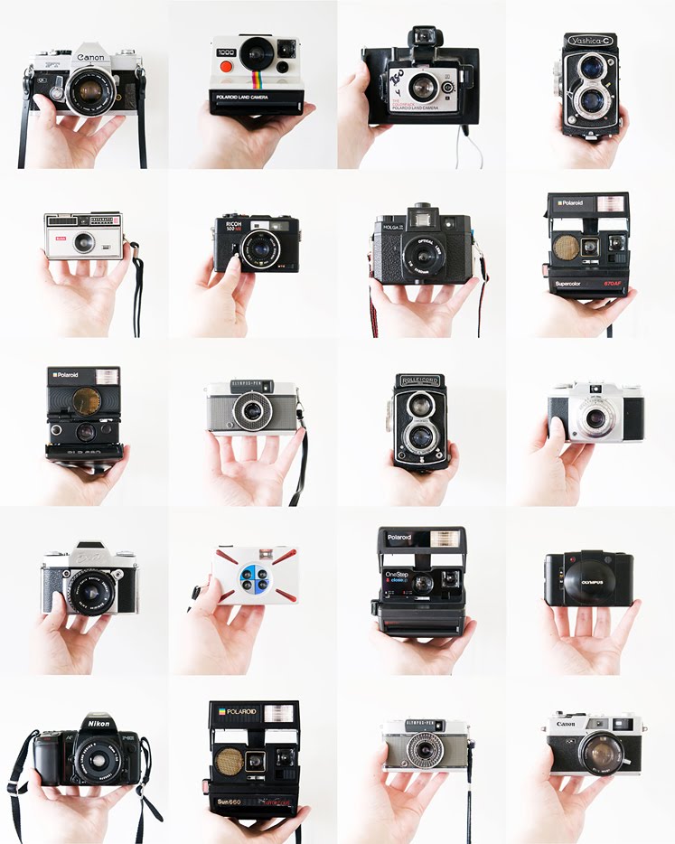 DAYDREAM LILY Vintage Cameras