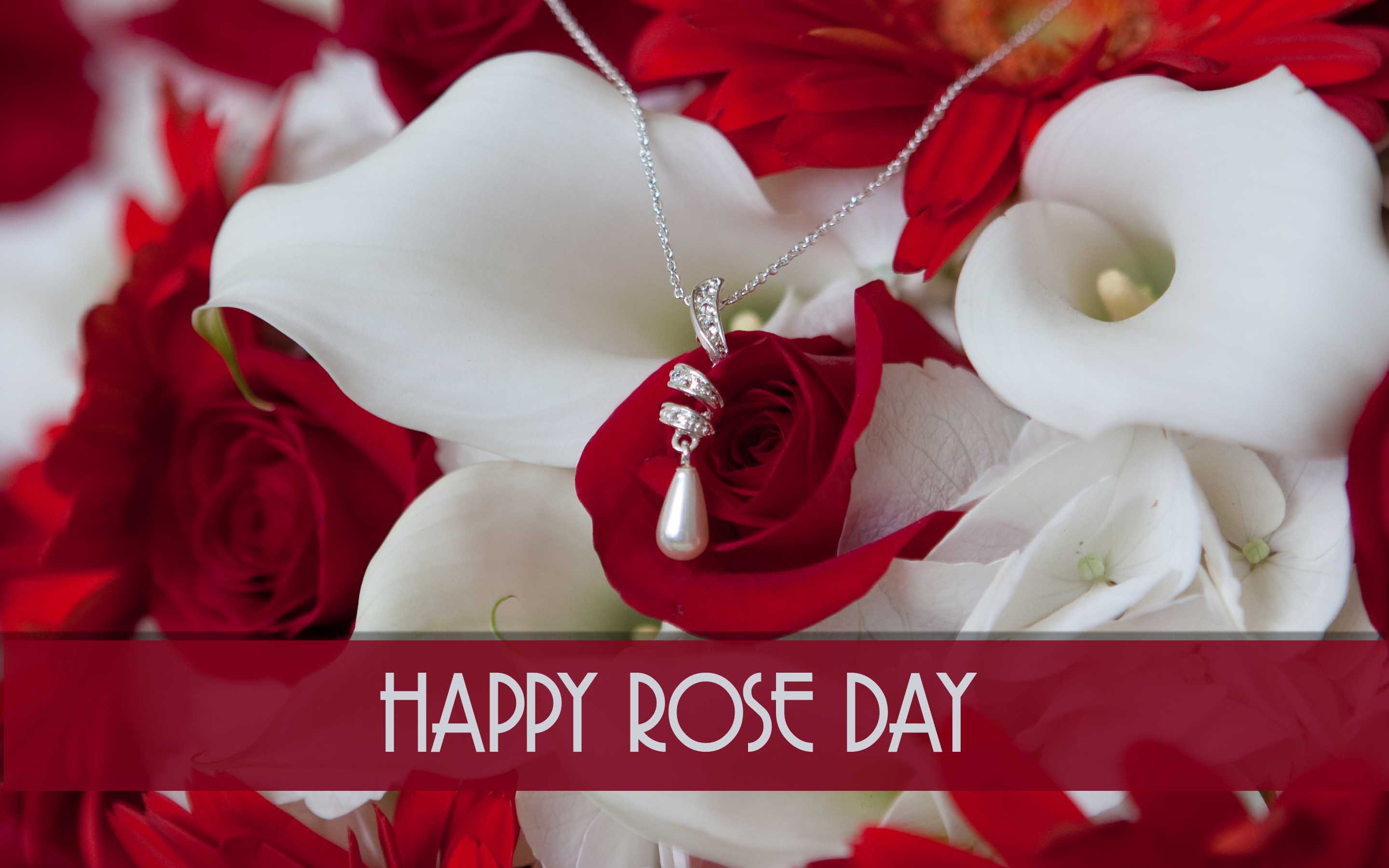 Happy Rose Day Full HD Wallpaper
