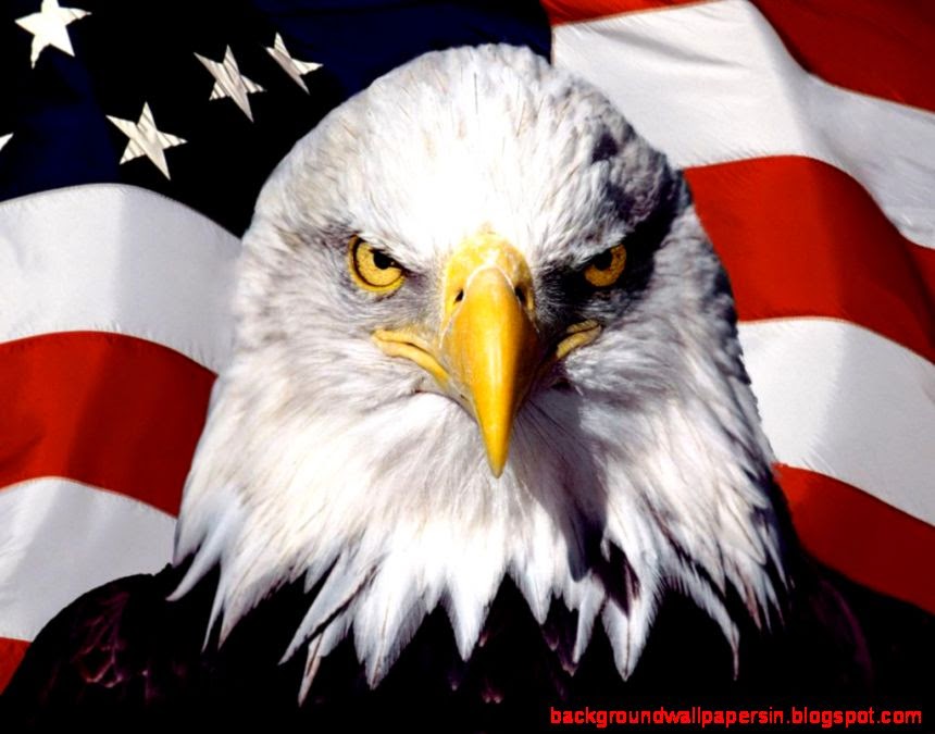 Patriotic Eagle Wallpaper Background