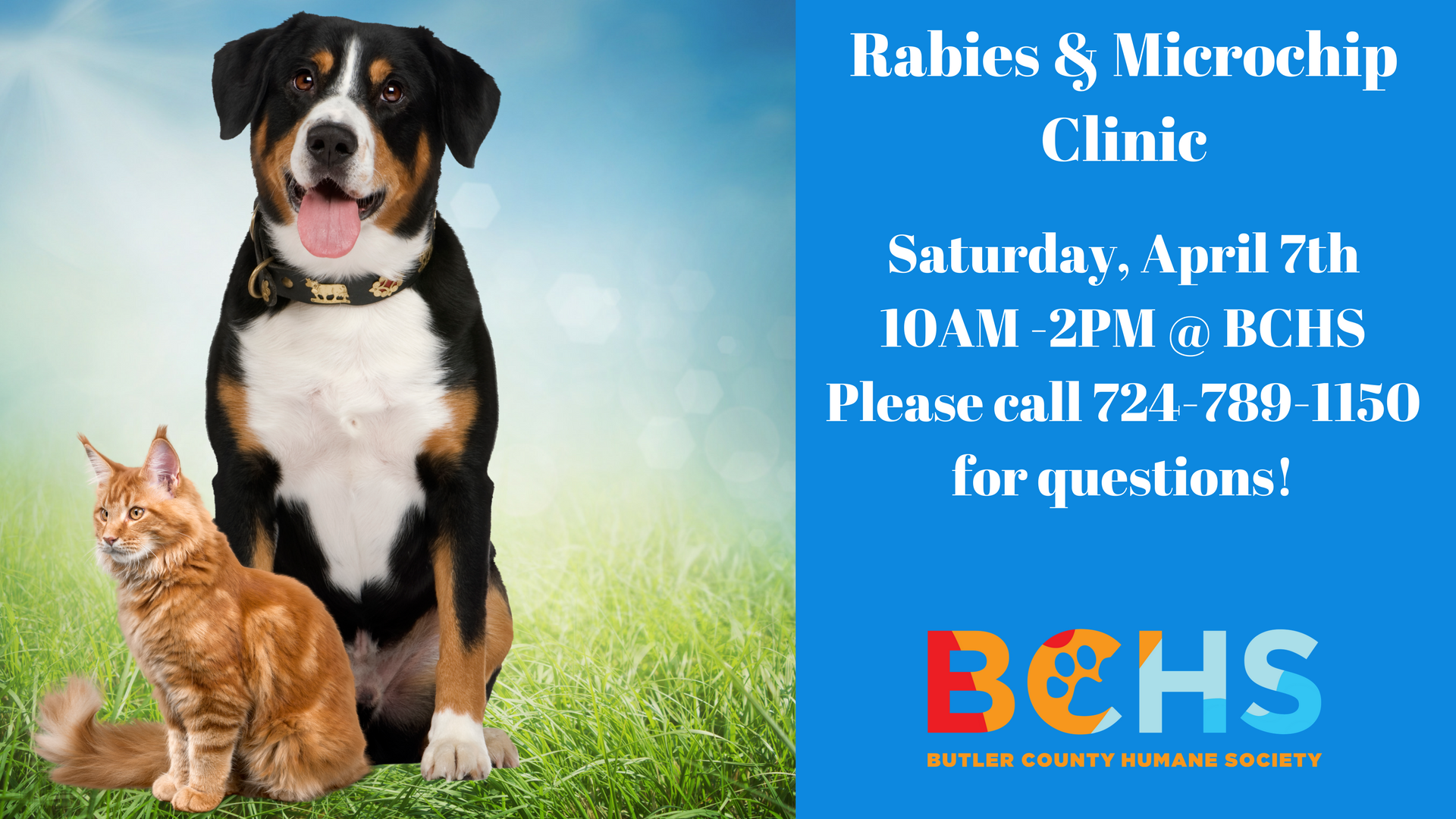 Bchs Rabies Microchip Clinic Butler County Humane Society