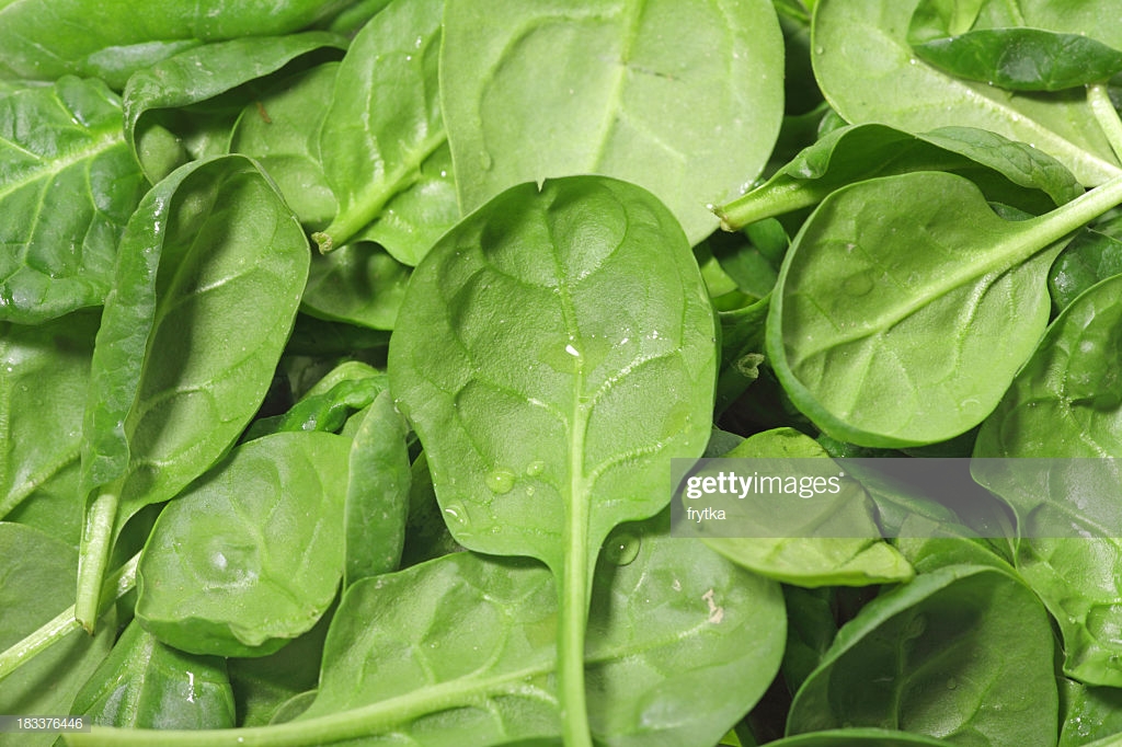 Loose Spinach Leaves Background Stock Photo Getty Image