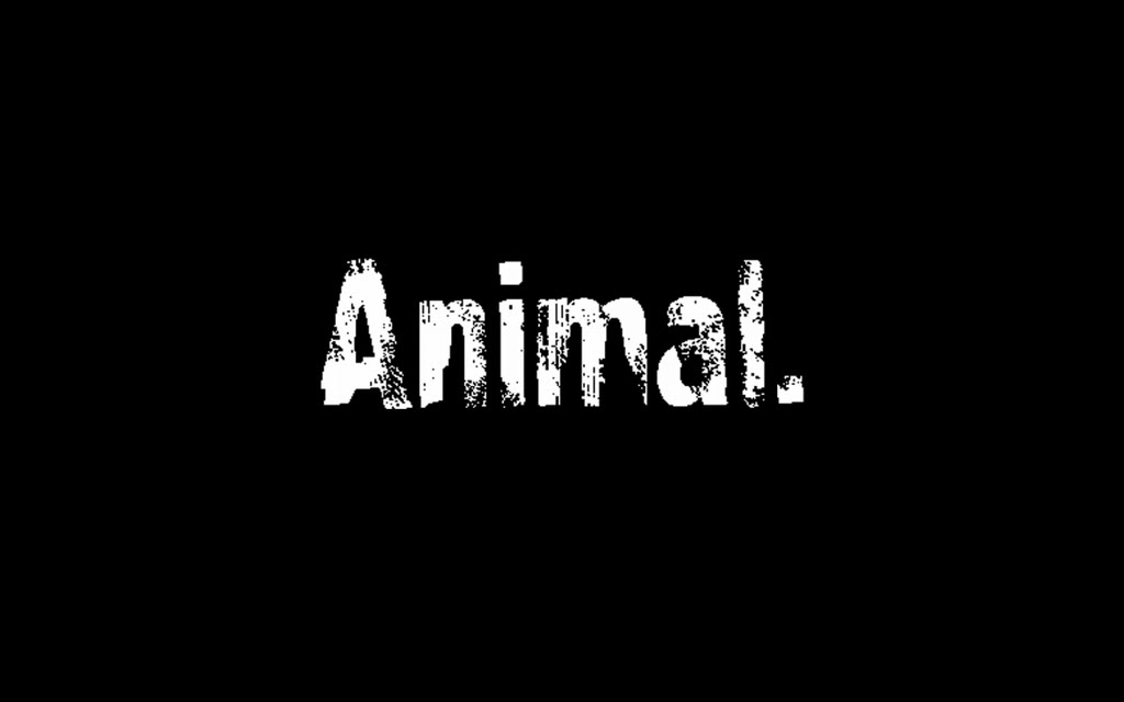 Animal Pak Wallpaper - WallpaperSafari